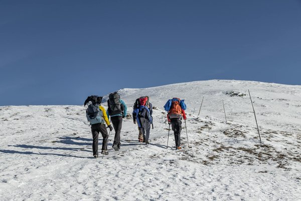 Les offices du tourisme face à la pandémie : stratégies d'adaptation et transformation