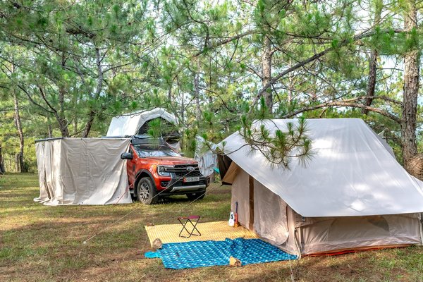 Explorez des cabanes en location offrant une vue époustouflante